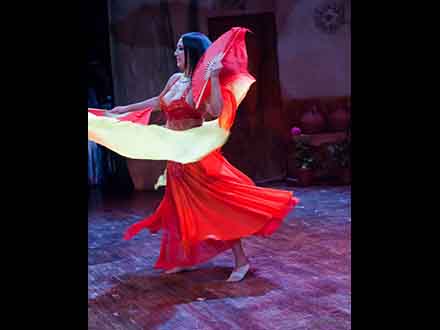 Festival Casa de Andalucía 2014