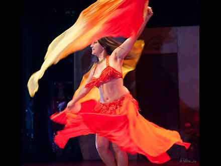 Festival Casa de Andalucía 2014