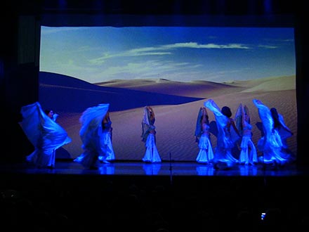 XLV Festival de la Casa de Andalucía