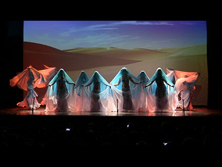 XLV Festival de la Casa de Andalucía