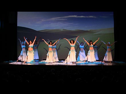 XLV Festival de la Casa de Andalucía