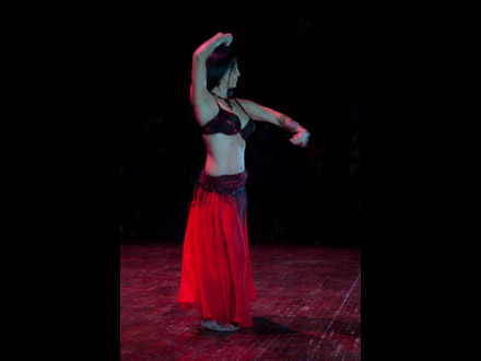 Ateneu de Cerdanyola 2012