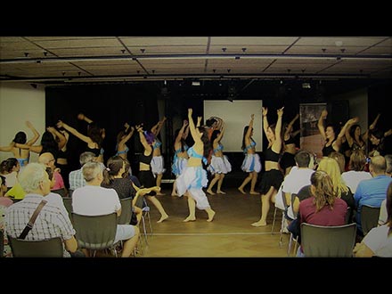 Gala Benéfica a favor de Localizania Casal Torreblanca de Sant Cugat 08/07/2017